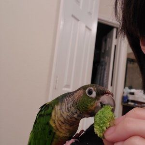 Meet your Posher, Jungae